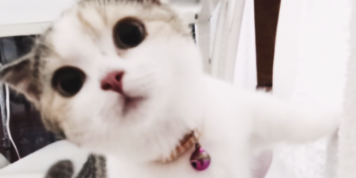 chnghynmis's profile banner image