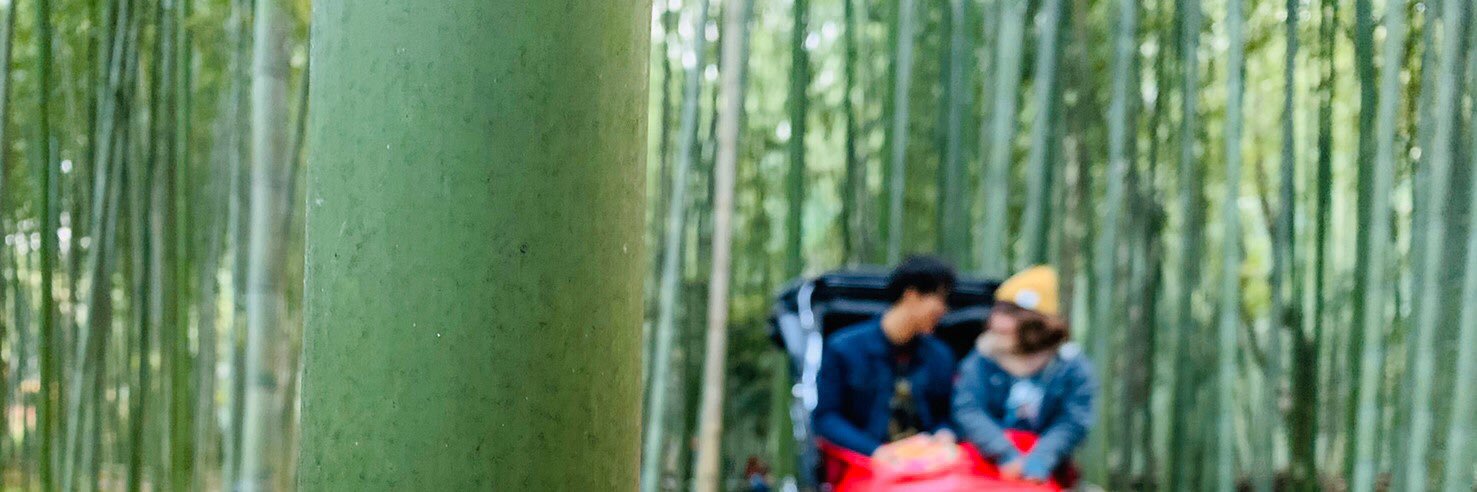 rinrin_pan's profile banner image