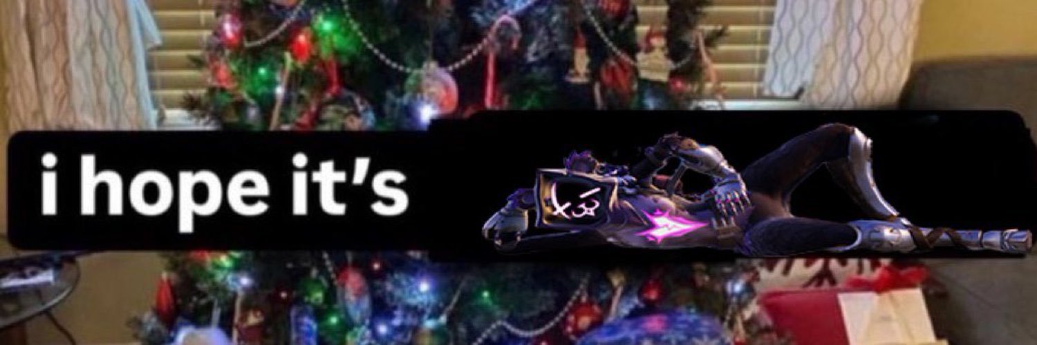 skyvern0's profile banner image