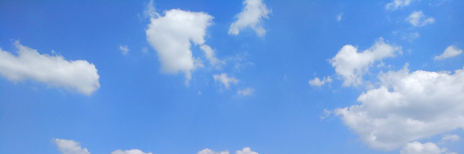 margokosters's profile banner image