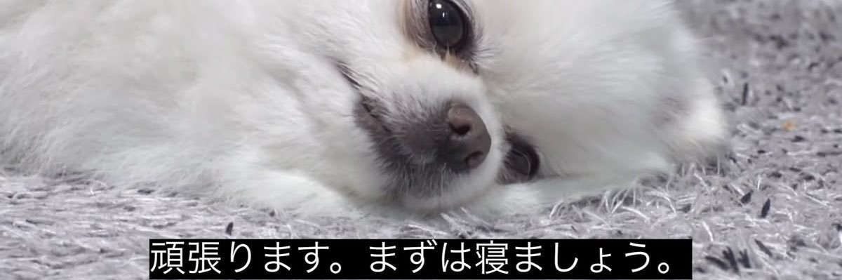 ひな banner
