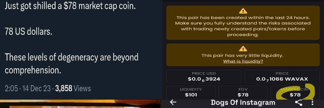 woofDOI's profile banner image