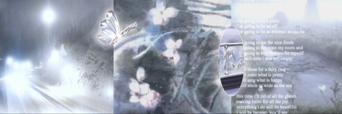 sheri₊˚⊹ 𑣿 banner