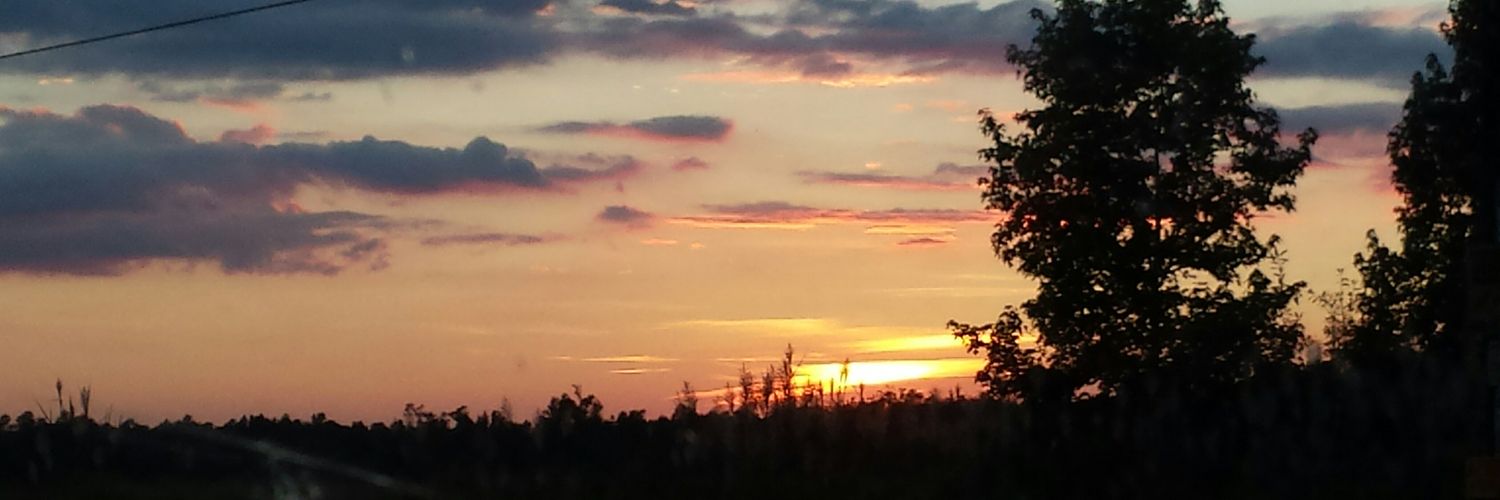 StillMason13's profile banner image