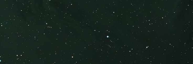 molly_heimel's profile banner image