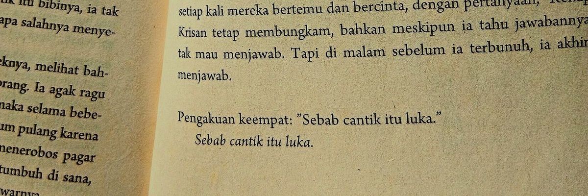 ⋆౨🪻ৎ˚ banner