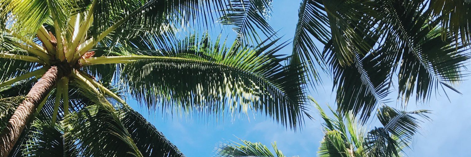 itmnluv1's profile banner image