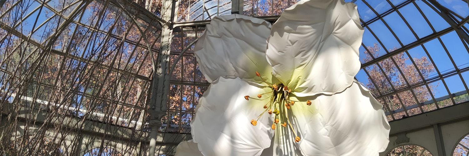 Almudena Alonso banner