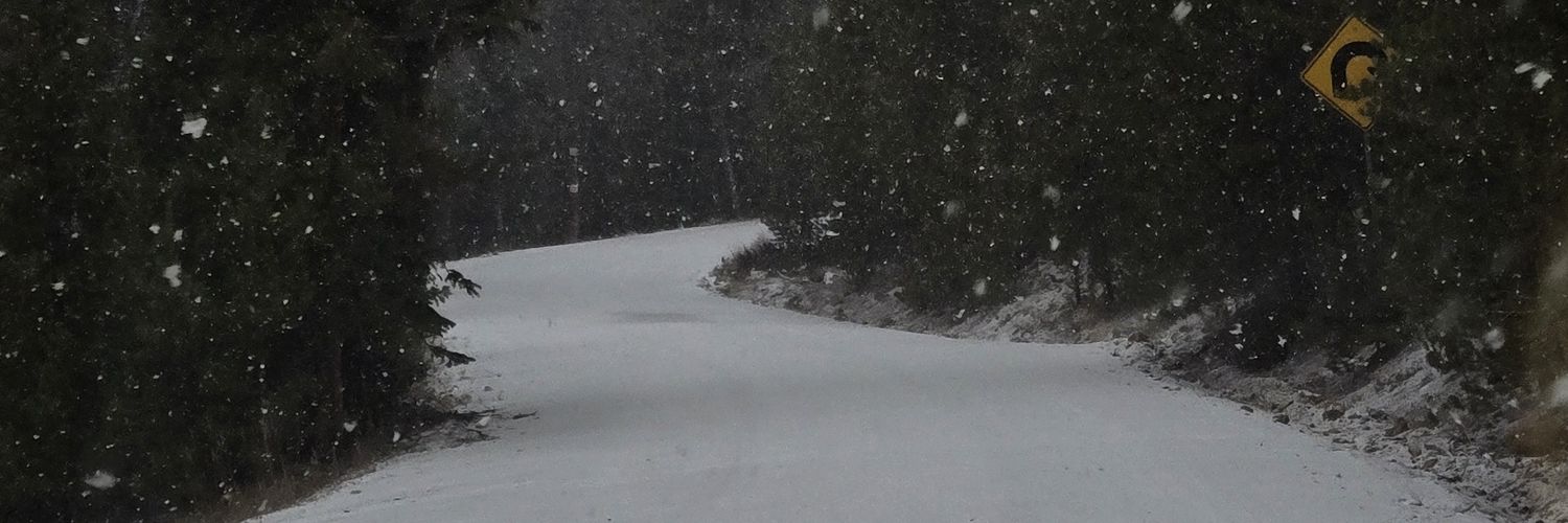 em misses skz banner