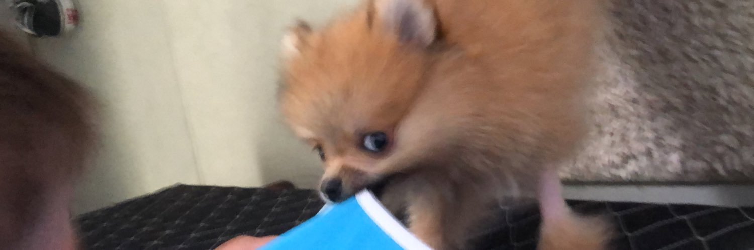 cherfpss's profile banner image