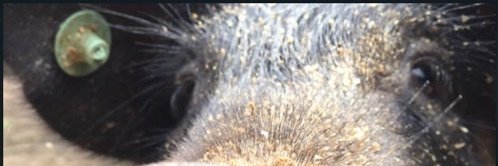 RojasLinamaria's profile banner image