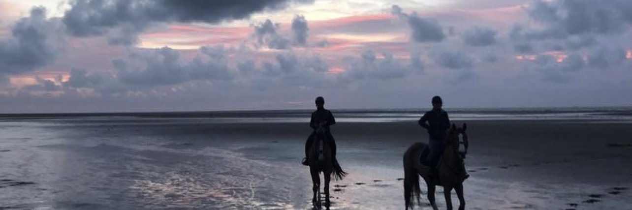 Arex4_'s profile banner image