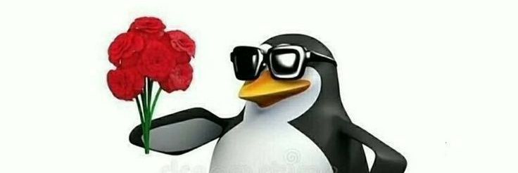 🖖🏻🌷🌸 banner