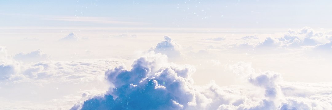 백코 banner
