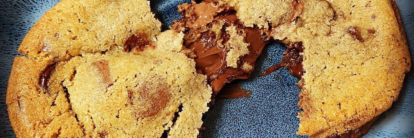 Lindsay Levkoff Lynn banner