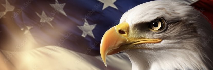 timpoole78's profile banner image