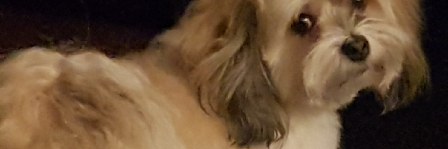 karenll's profile banner image