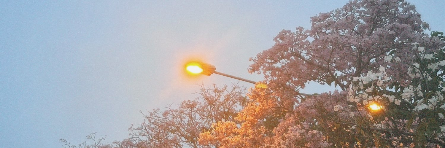 Alway Carrry A Book! banner