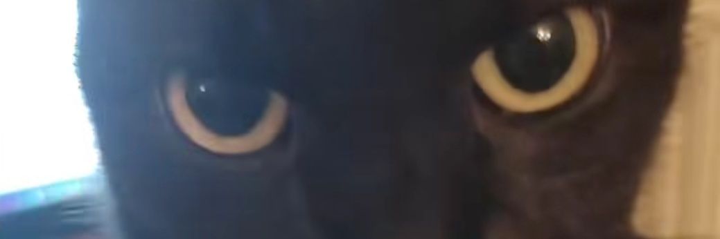 goran12322's profile banner image