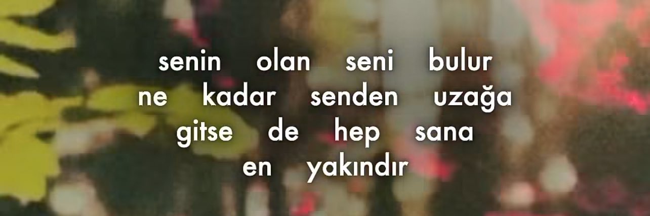 balim banner