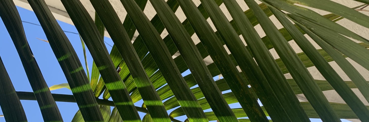 Chris Palmatier banner