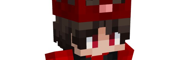 waskii banner