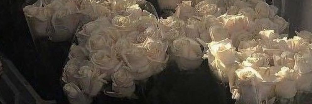 سارا banner