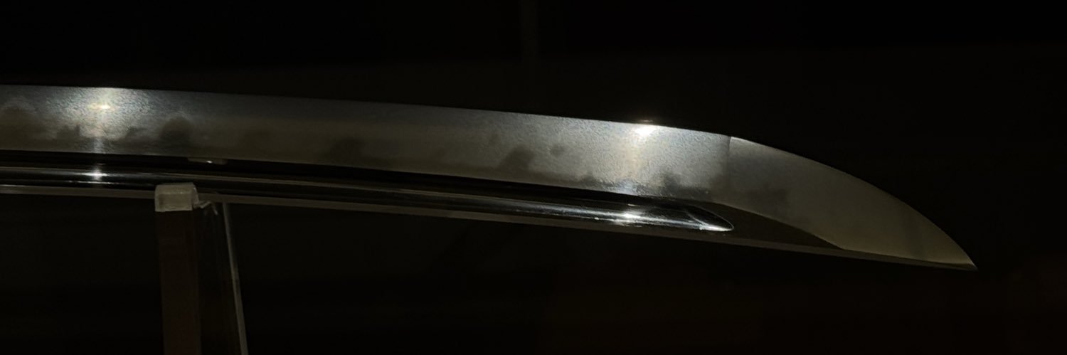 ちと🐟ぴょんぴょこのすがた banner