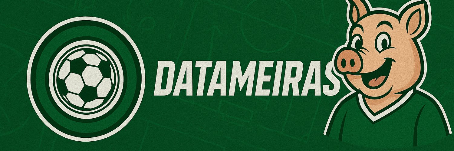 DataMeiras banner