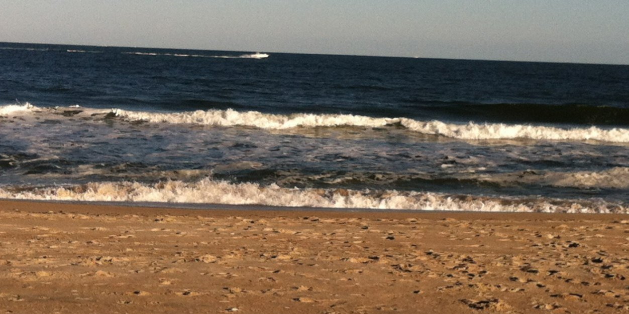 Anne F. Farrell banner