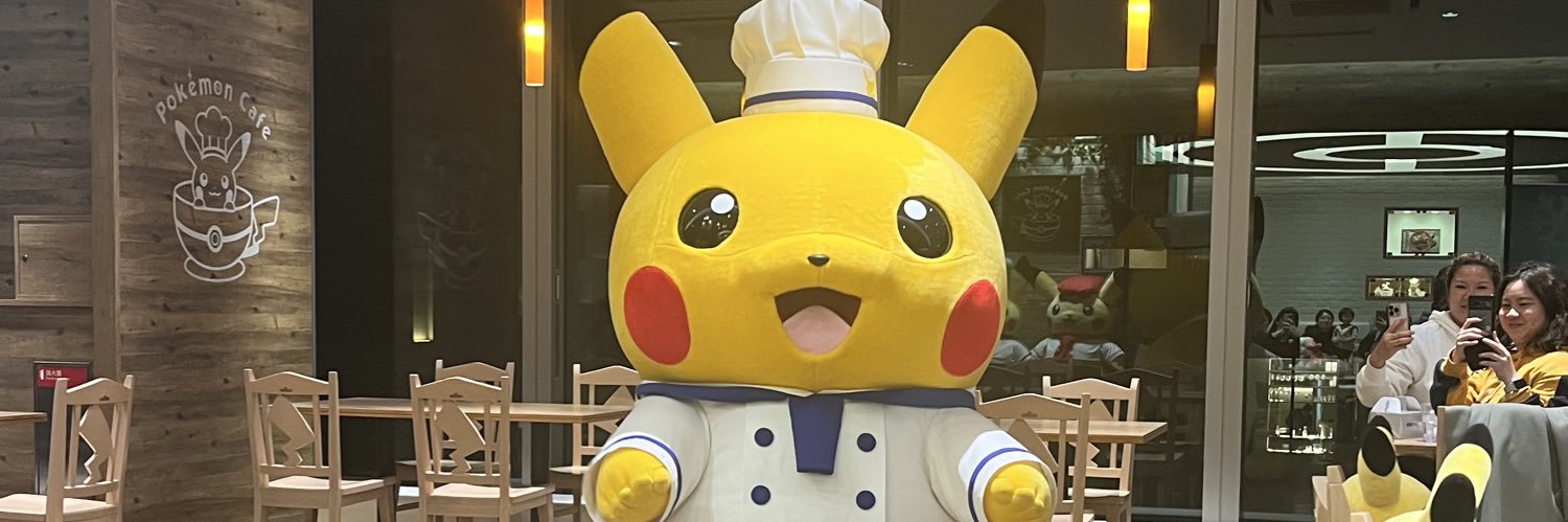 KokopokeGO's profile banner image