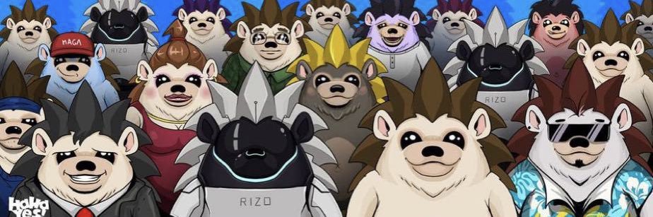 Mr.Erizooo 🦔🇮🇷 banner