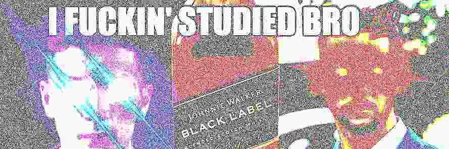 I STUDIED BRO banner