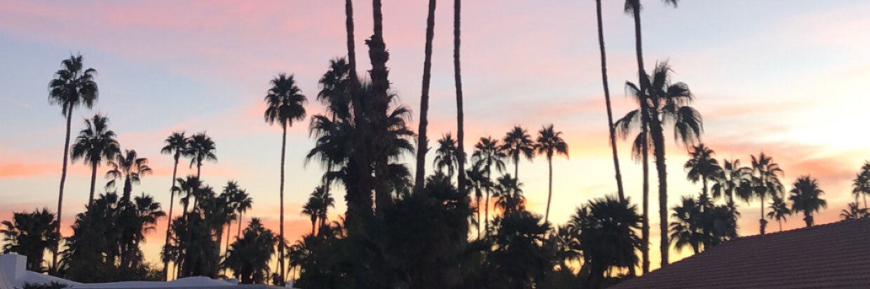 KaylieeeRoseee's profile banner image
