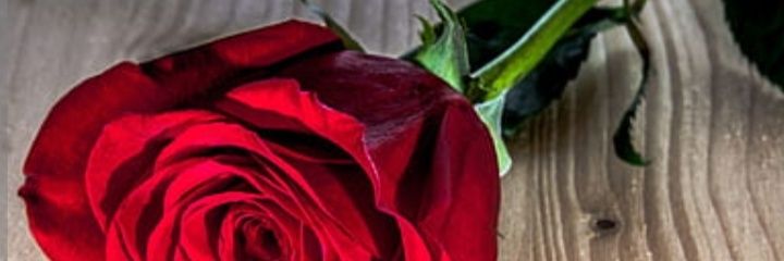 wuroodAlward's profile banner image