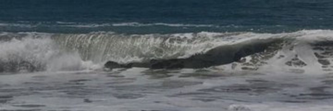 ahd332916's profile banner image