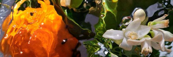 skyelightttt Profile Banner