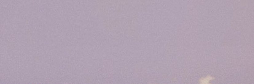 poncerto's profile banner image