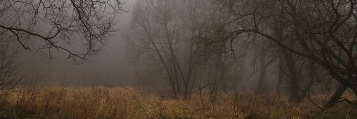 sstiksss's profile banner image