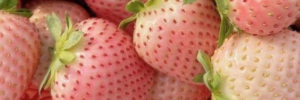 That_onelil_bee Profile Banner