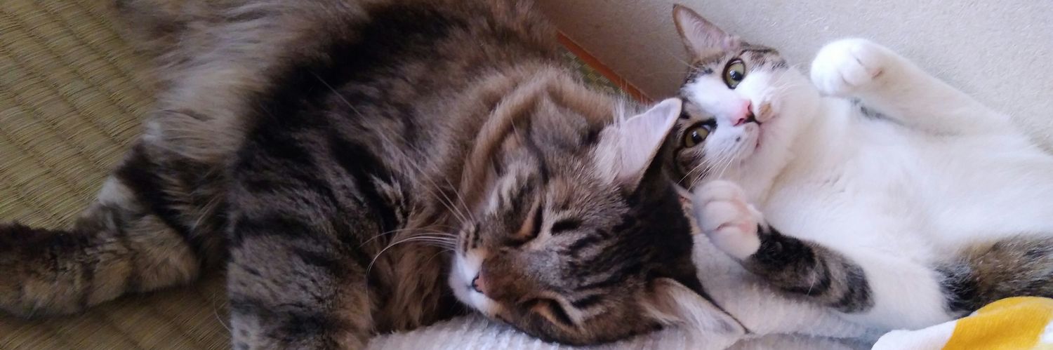 m_tora_m's profile banner image
