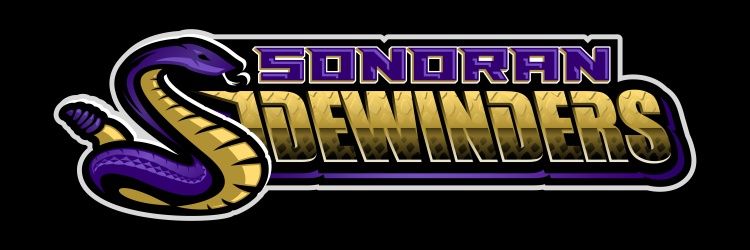 Sonoran Sidewinders Football banner