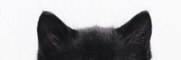 :3 banner