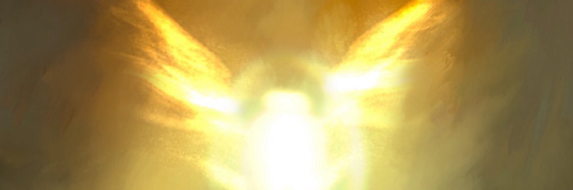 only 1 ken banner
