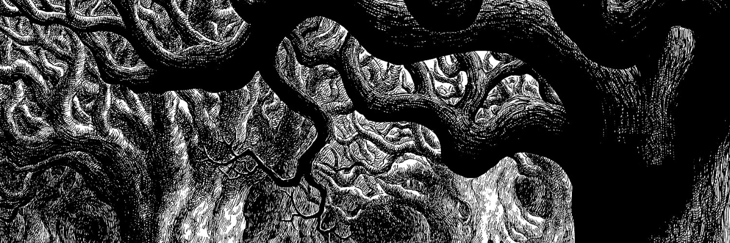 Faustisse's profile banner image
