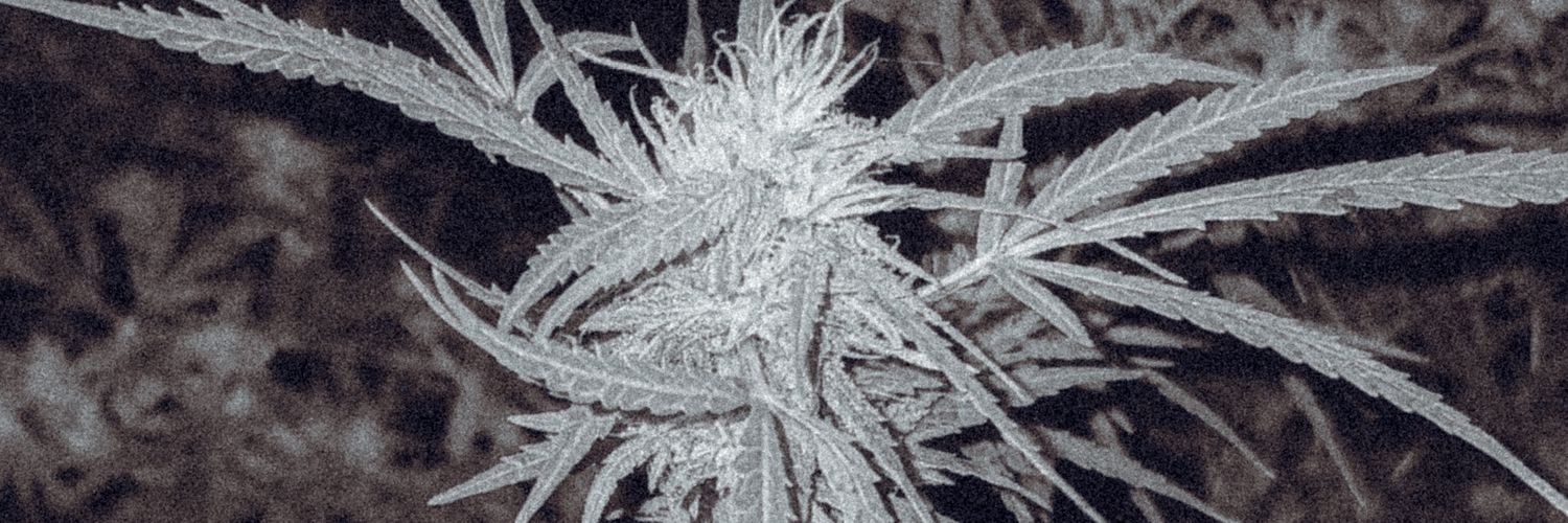 elemegok's profile banner image