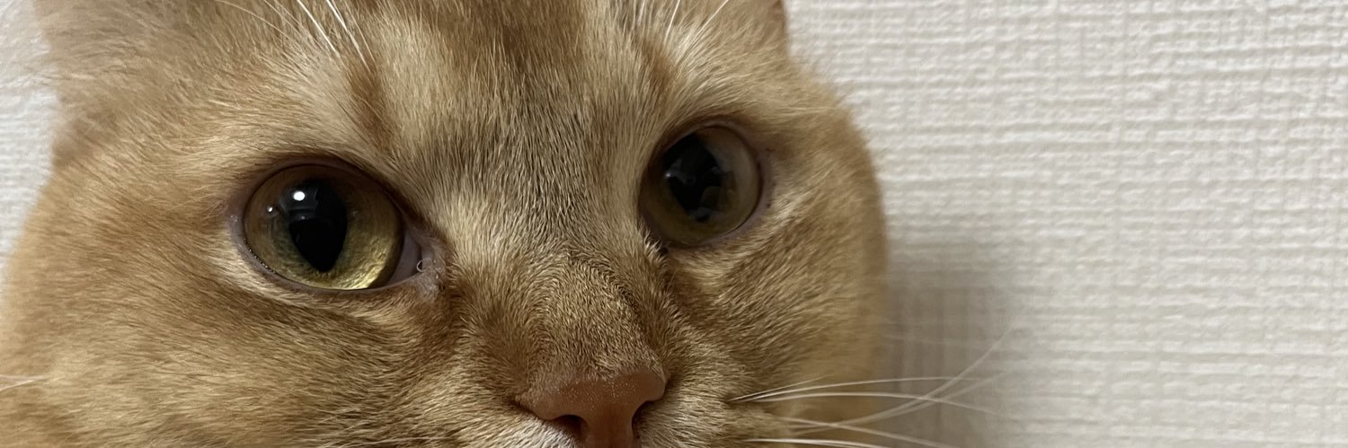 v98028's profile banner image