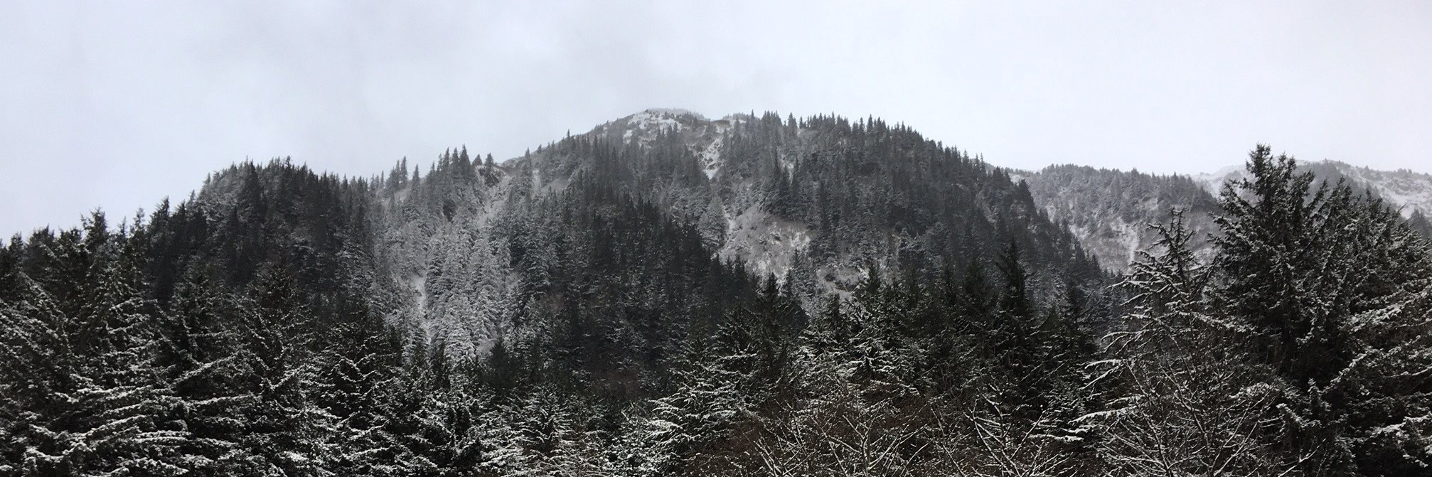 Andrew Kitchenman banner