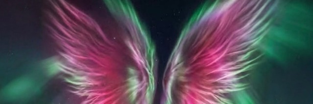 WuTangWings's profile banner image