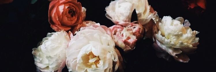 graciebrummer's profile banner image